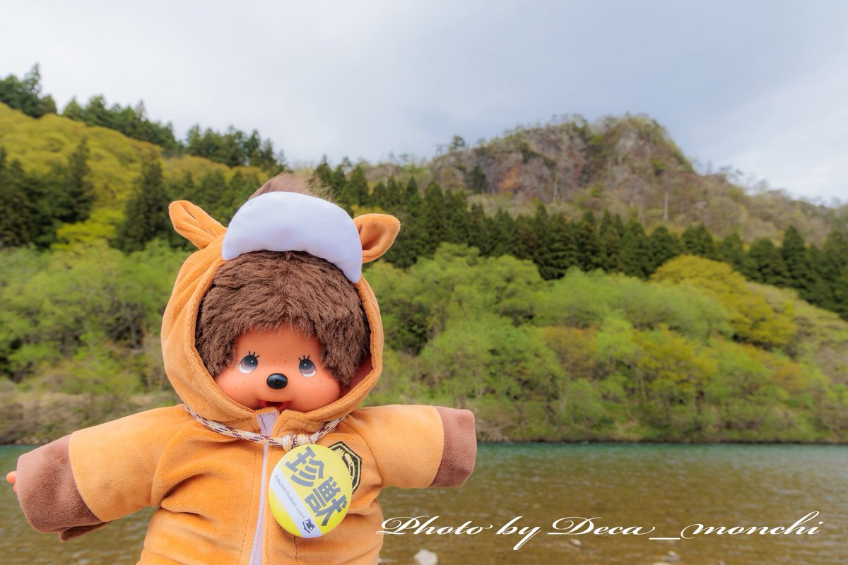 deca_monchi's tweet photo. みなしゃん！おはざましゅっ😆🙌
今日の新潟は雨降りでしゅ☔️
早く通り過ぎてくれないでしゅかねぃ🤔
お仕事の方やお出かけの方は
くれぐれも気をつけるでしゅ😉
写真はキャンプの散歩中に
背中で語ろうとするぼくでしゅ🤭byモンヂ

#モンチッチ 
#Monchhichi https://t.co/hSEuHTkCLx
