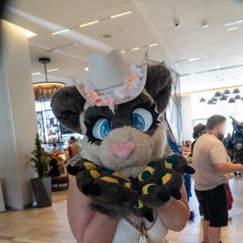 HydraMyra's tweet photo. 🌱I loved being a ferret at Furlandia26. Literally was so so fun🌱 https://t.co/5SH4yIBmgN