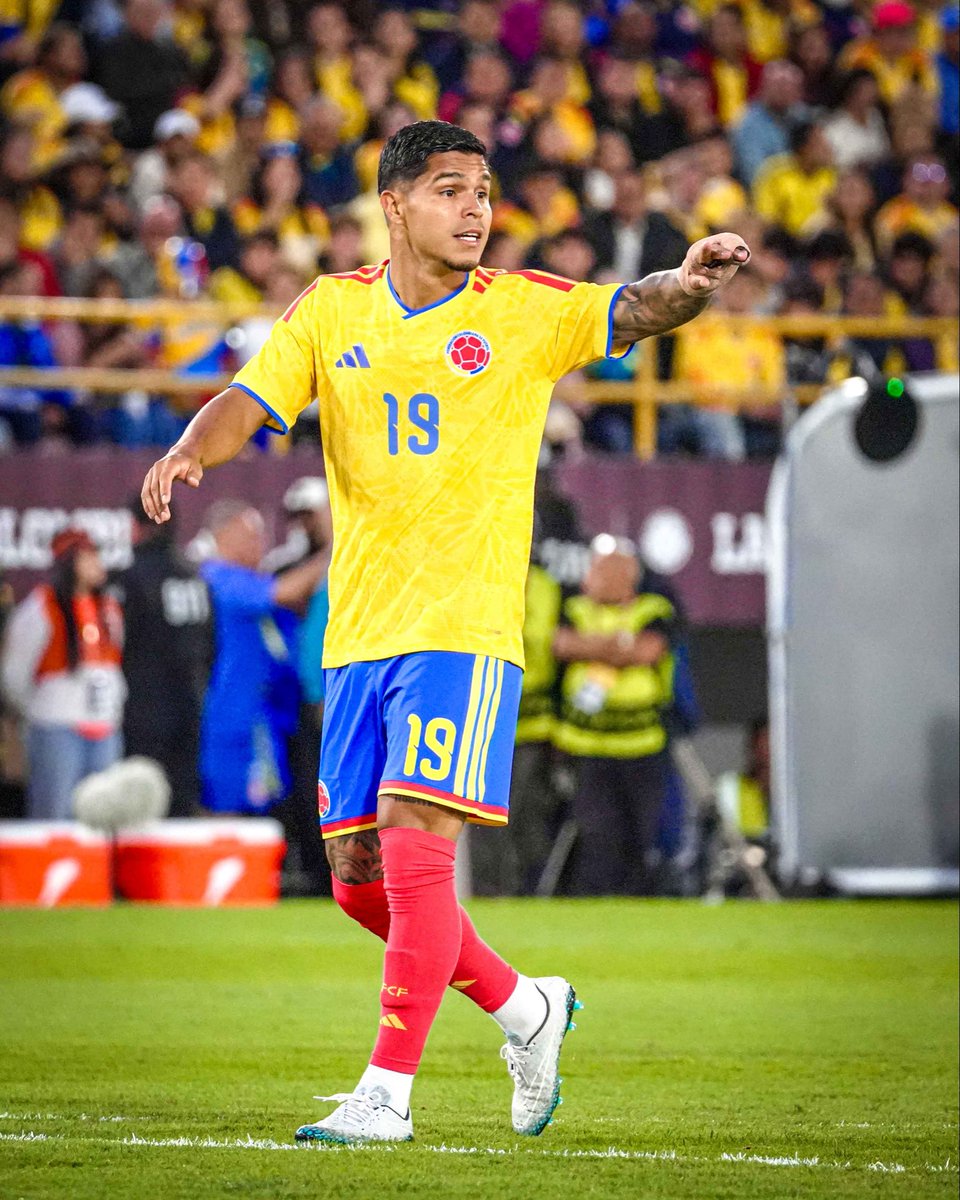 CuchoHernandez's tweet photo. https://t.co/YJxaJN6CGI