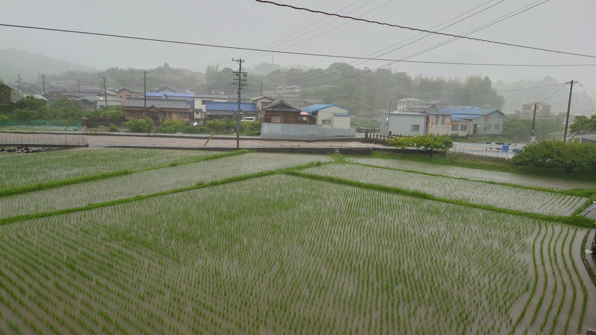 Team_Updatcd's tweet photo. 氾濫しはじめたぁー💦
でも、🌀は通り過ぎそう😮‍💨 https://t.co/nvv2h17mvx