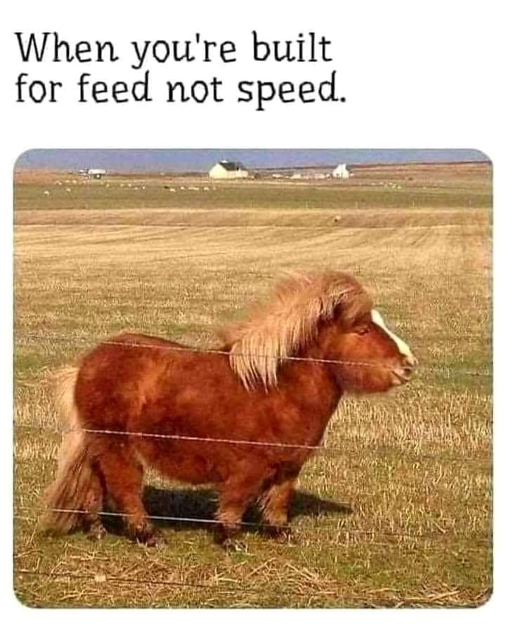 WholesomeMemes tweet media