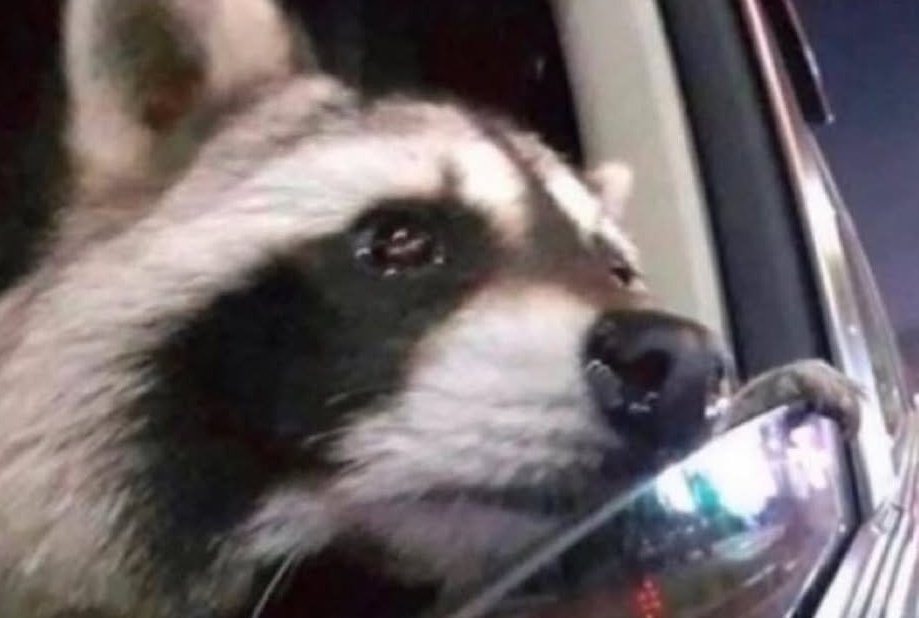 CltouMozao's tweet photo. Eu voltando pra casa, e já com sdds do meu amorzinho 🥺❤️ https://t.co/kmr239rrLp
