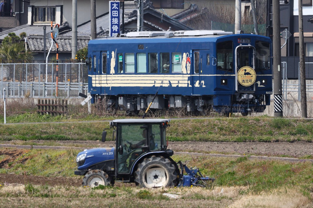 NRT0324's tweet photo. #603の日 https://t.co/u1lcSQWsoF