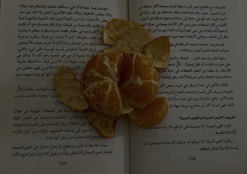 arrra7a's tweet photo. 🍊🍊 https://t.co/nMoIlJc1Th