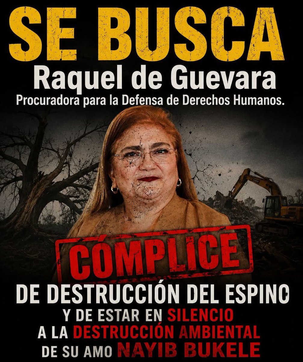 CottomCarlos's tweet photo. @AlejandroASV7 @AnonimoSV503 @ElsalvadoronX @periodist_jorge @EsquinaFederico @Francis29471691 https://t.co/rAEckyj83E