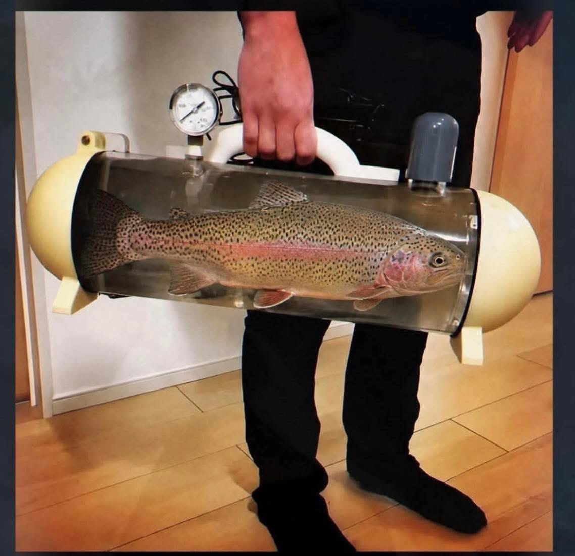 vRobM's tweet photo. Space travel for Trout. https://t.co/6WL9KWoHOh