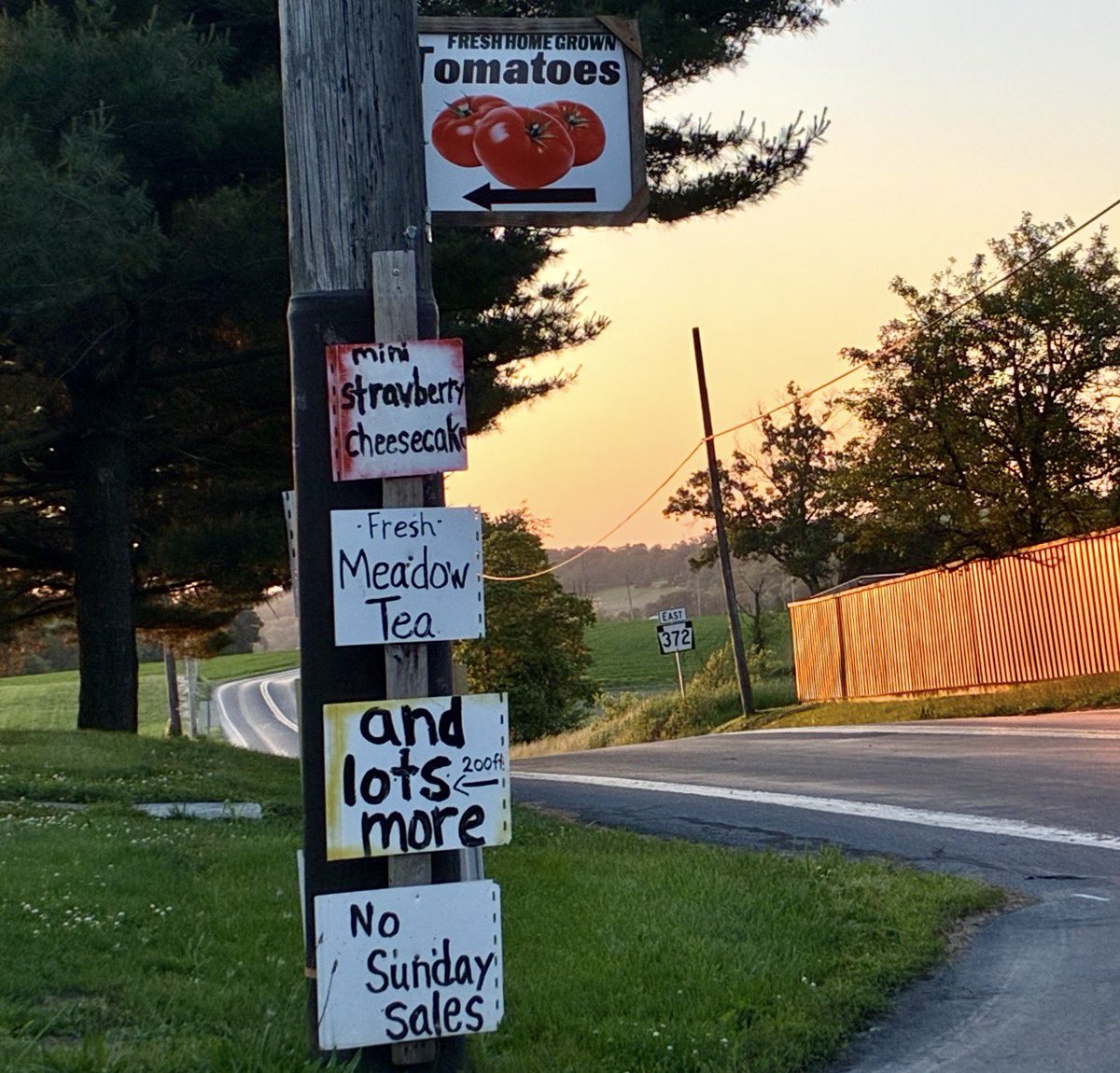 CommissionerJP's tweet photo. June means summer in Lancaster County. Produce season. 

We have the best soil, best farmers, and best food in the world. 

Shop your local farm stand. 

Help preserve what we have here. If we lose it, we can’t get it back. https://t.co/IqaJbPtHJl