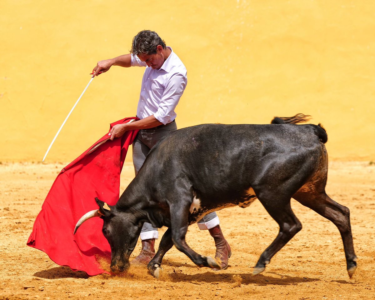 DiegoSilveti's tweet photo. Tentadero en la Ganadería La Quinta! 🇪🇸 https://t.co/SzmTdGJ2bX