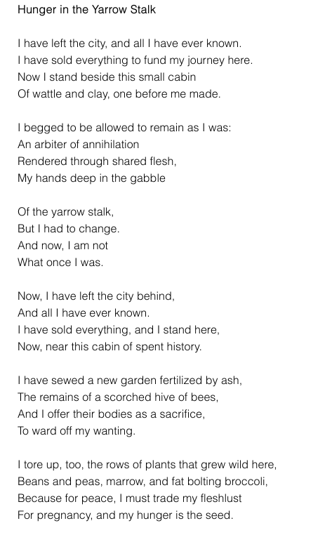Breen's tweet photo. "I have sewed a new garden fertilized by ash,
The remains of a scorched hive of bees,
And I offer their bodies as a sacrifice."

New work just published: 'Hunger in the Yarrow Stalk.'

In Twenty-Two-Twenty-Eight.

#writing #publishing #poetry #art #writingcommunity https://t.co/sakiNjTyZ3