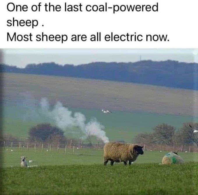 SpillTheMemes's tweet photo. 😂 https://t.co/YOcmsrI9GL