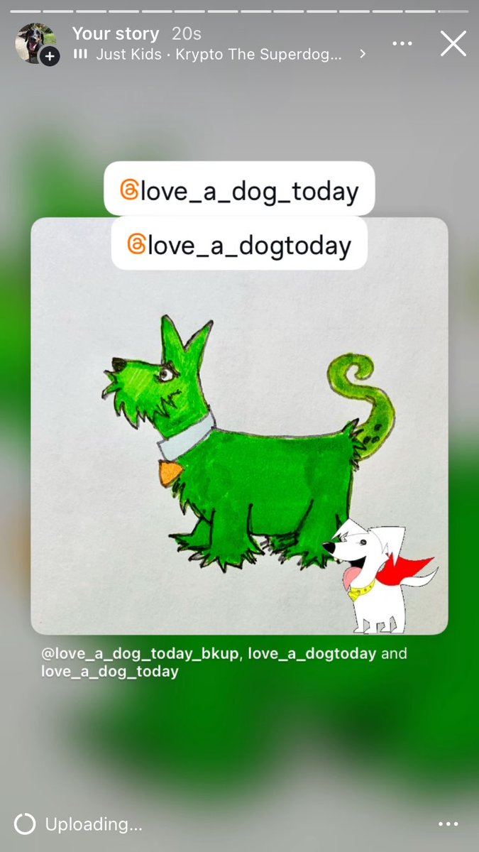 Anman248's tweet photo. Today’s Superdog 

Follow on IG @love_a_dogtoday and @love_a_dog_today for the complete posts and profiles of these pups
.................
#dog #dogs  #loveadogtoday #loveadogday  #doglove #dogsoftwitter #twitterdogs #twitterdog https://t.co/s5bIBUT1XT