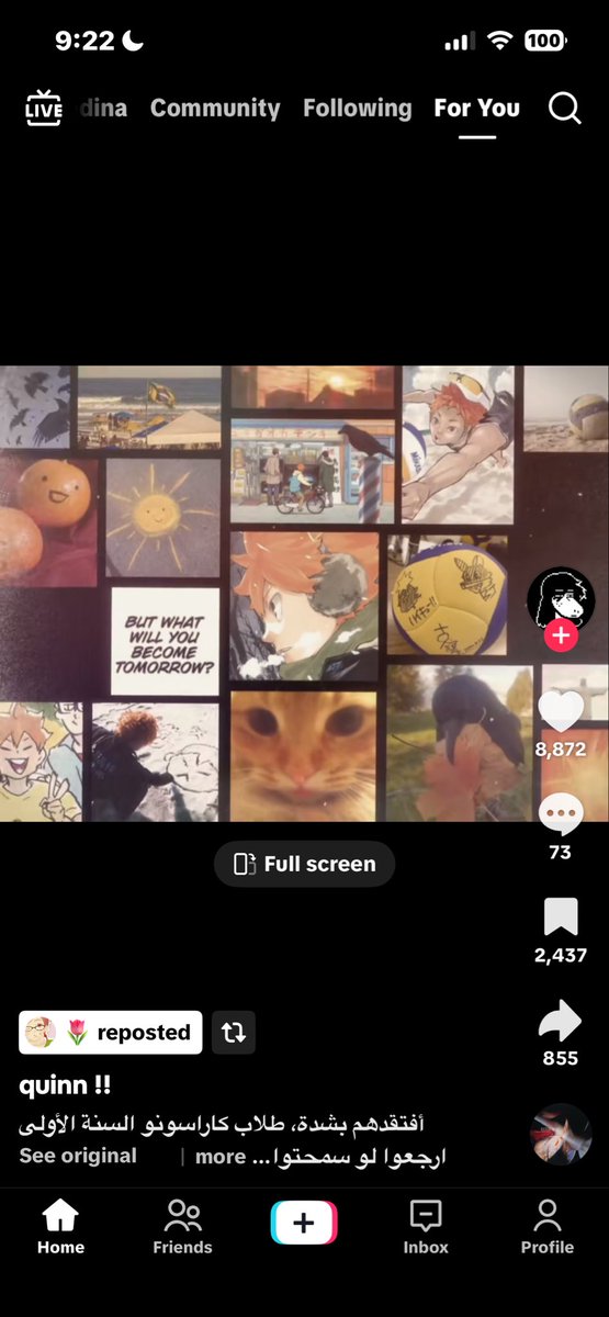Ꮚ(ゝꈊ ◕ )Ꮚ tweet media