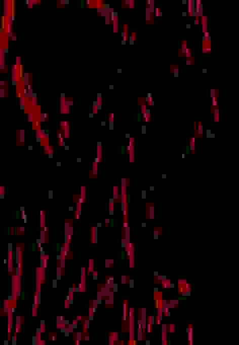 FORS3lml's tweet photo. Teaser
#SmileDog #CreepyPasta https://t.co/Q5ku7rEkmm