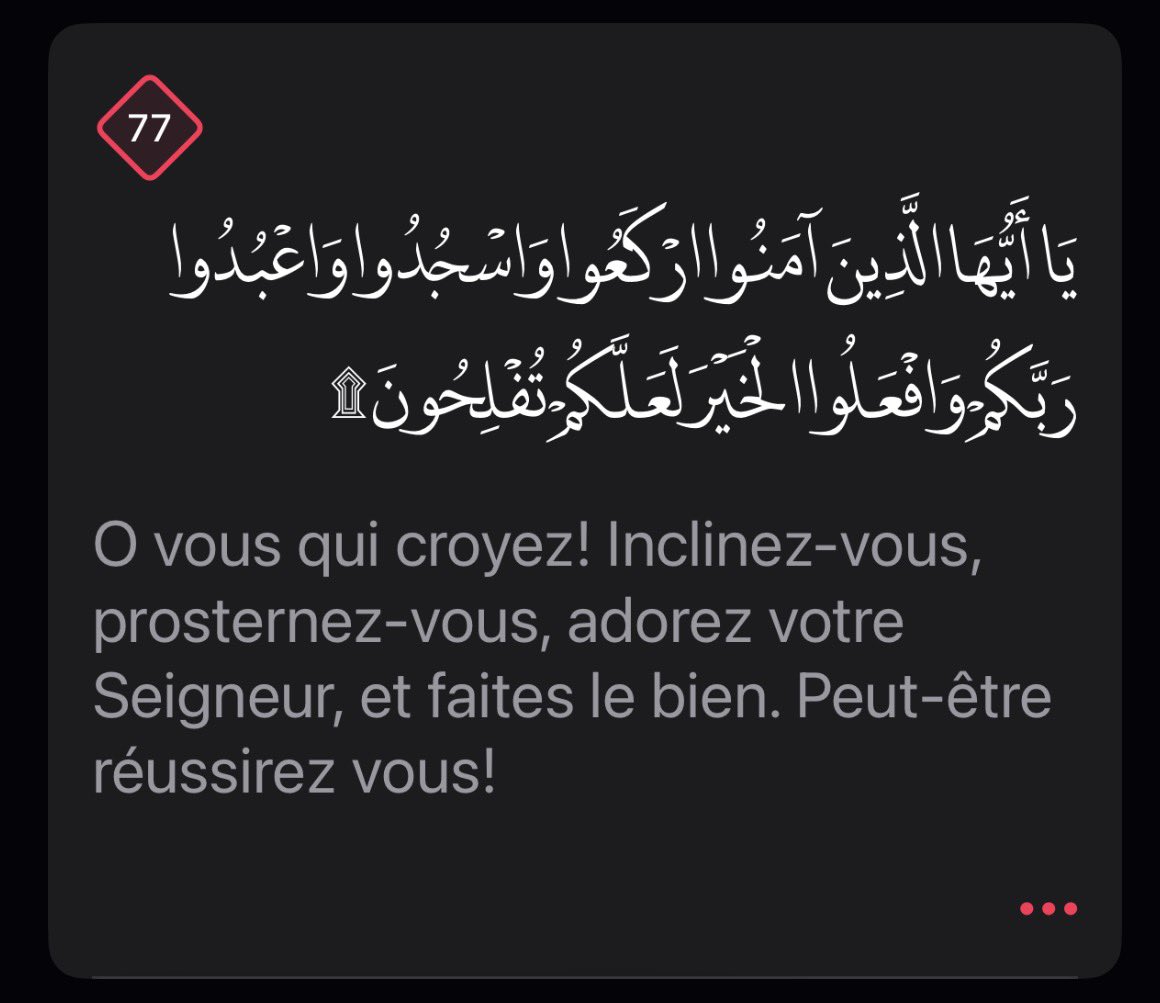 Sirat_Rappel's tweet photo. https://t.co/UwGHSTdqsc