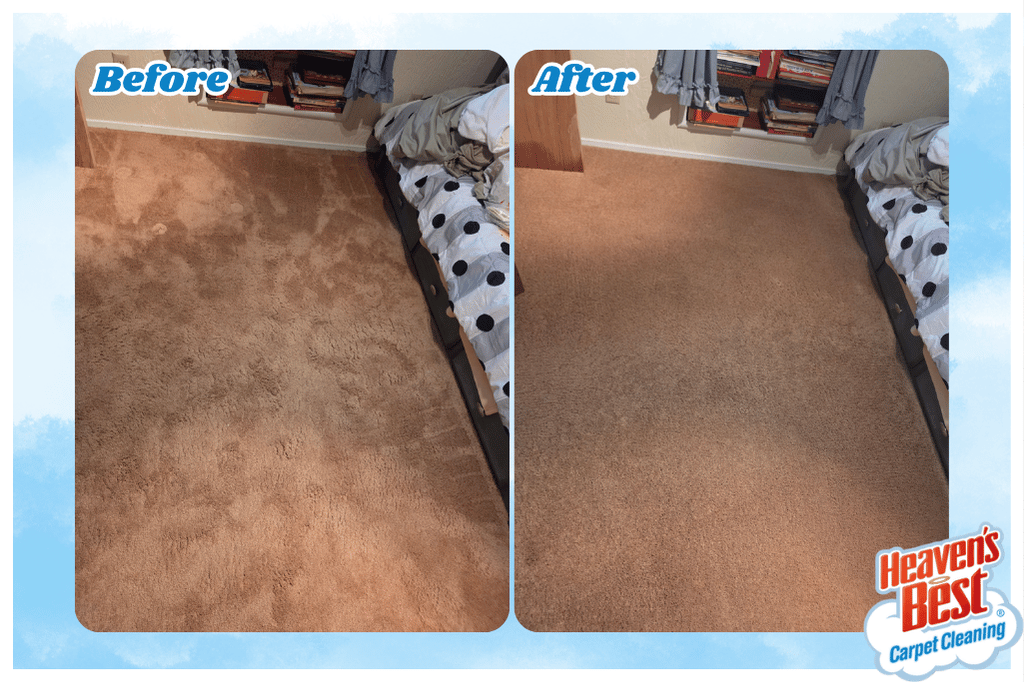 HBKalispell's tweet photo. Experience a cleaner, fresher home with Heaven's Best! ✨ Our advanced low-moisture carpet cleaning technology ensures fast drying and deep, long-lasting results. Schedule your appointment now for a heavenly clean! 😇

(406) 837-5550
https://t.co/LabdiKcPgN https://t.co/EDfdanDDqW