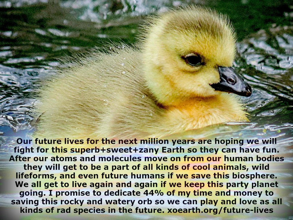 XOEarth's tweet photo. Our future lives are hoping. 44% time &amp; money for planet earth to live again. Plan ahead! XOEarth FutureLives #love #life https://t.co/a7uhehOb7h