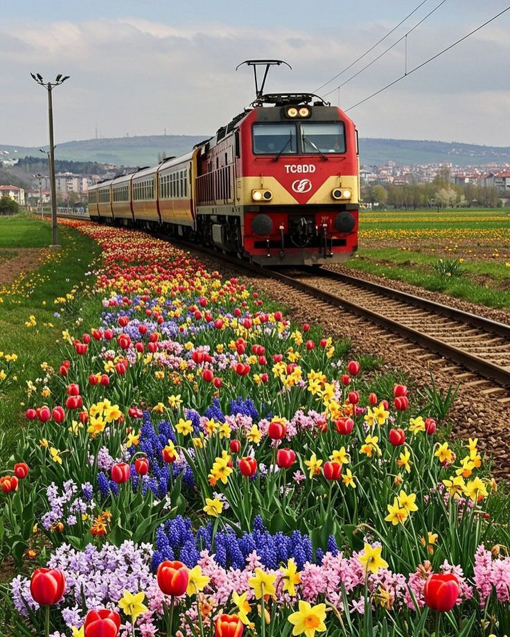 K_unit01's tweet photo. Do you like to travel in train? https://t.co/xKNY7hMfF3