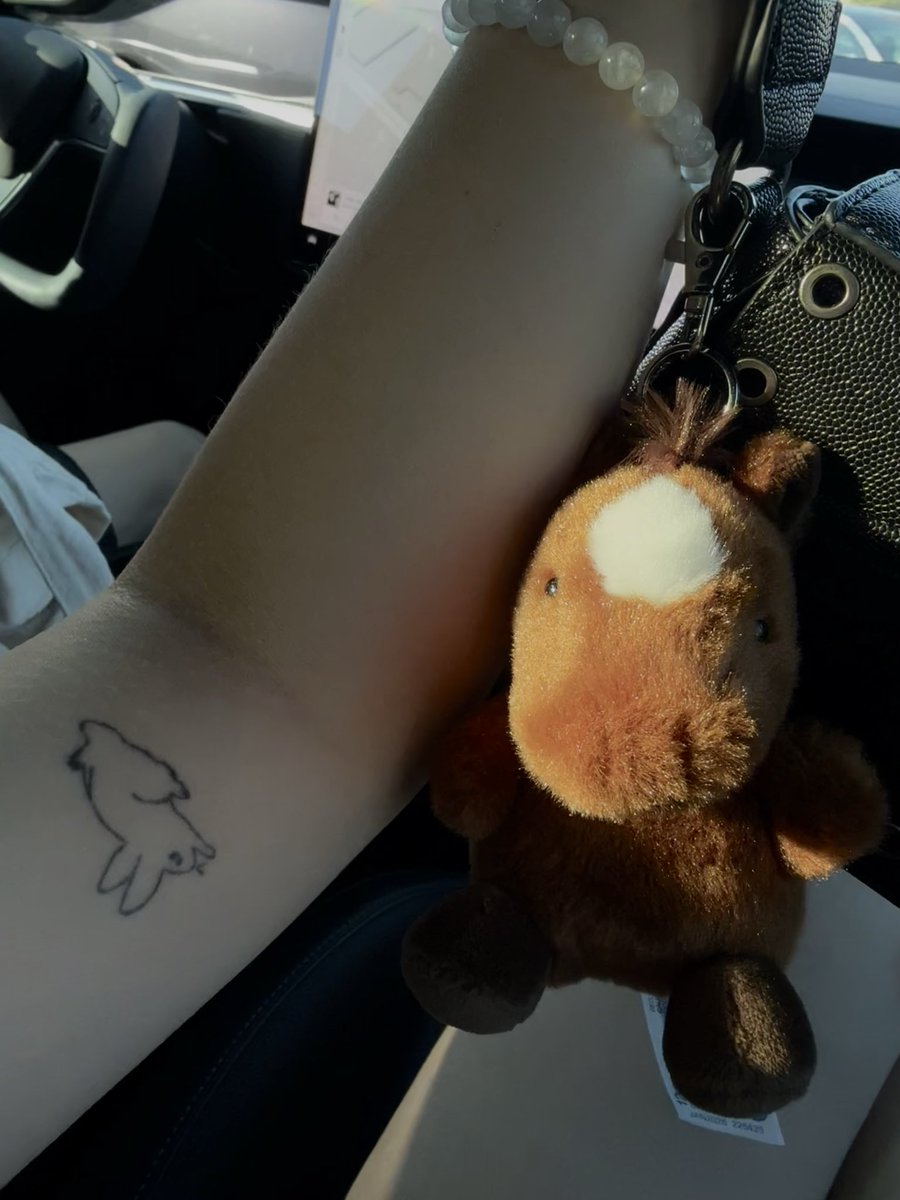 si11ymew's tweet photo. neigh https://t.co/Jk8RRhgKi0
