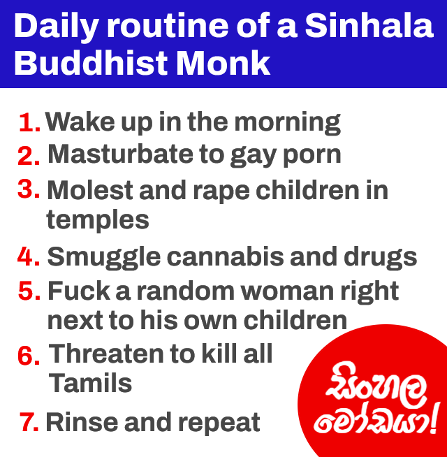 urfavthambi's tweet photo. 🇱🇰☸️ When they’re not molesting or raping children in temples, smuggling cannabis, or threatening to kill all Tamils in the South, they’re busy jerking off to gay porn.  

These depraved saffron-robed perverts are the so-called “spiritual leaders” and role models of Sinhala Buddhism.

No wonder their whole society is completely rotten to the core.

#EelamNews #SriLanka #Sinhala #Buddhist #Buddhism #SinhalaBuddhism #Colombo #Kandy #Galle