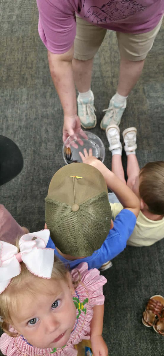 bvillelibrary's tweet photo. π¦ππ’ The Zoo Safari USA crew took over the library today, and they brought some amazing animal friends along for the adventure! πΎ
#BPLibraryLife #ZooSafariUSA #LibraryAdventures #AnimalEncounter #WildLearning #LibraryFun #SummerReading2026 https://t.co/pRf30dgWbx