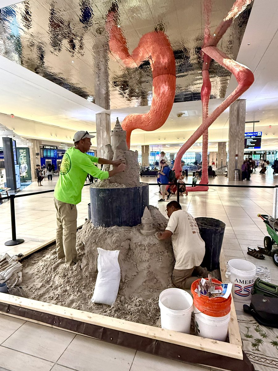Tampa International Airport ✈️ tweet media