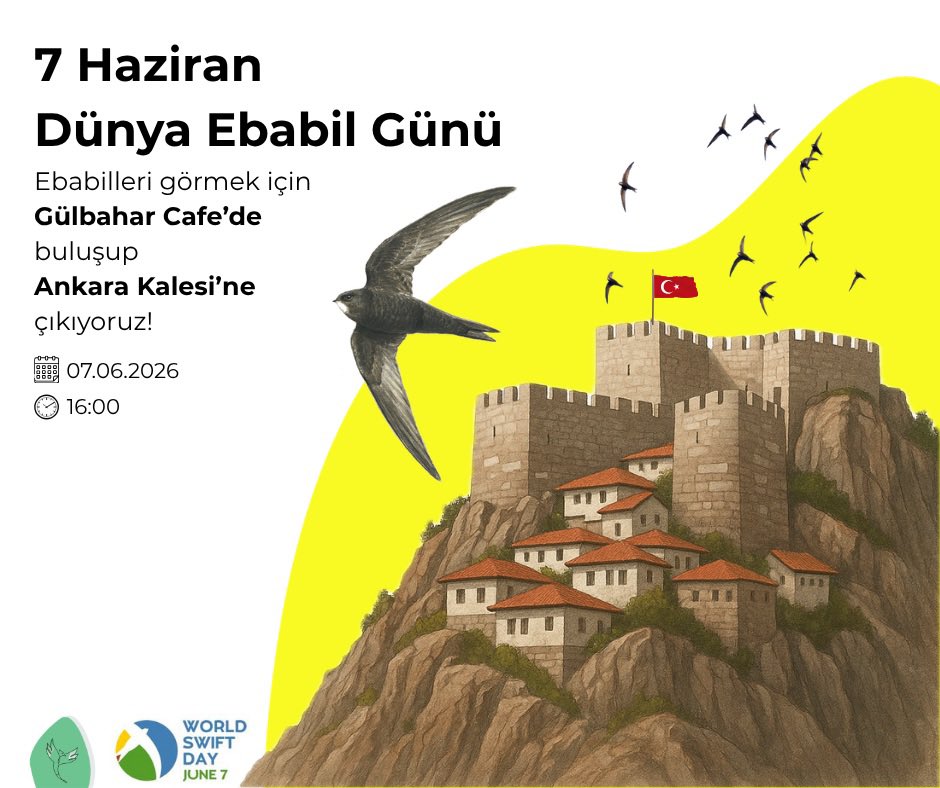 SimurgKusYuvasi's tweet photo. 7 Haziran #DünyaEbabilGünü’ne çok az kaldı! Dünya Ebabil Günü’nün Türkiye partneri olarak gerçekleştireceğimiz etkinliğin detayları belli oldu. Ankara’da ebabillerin üreme noktalarından biri olan Ankara Kalesi’nde ebabillerin dünyasına giriş yapacağız. #WorldSwiftDay #WSD2026 https://t.co/Udmw1WOyIB
