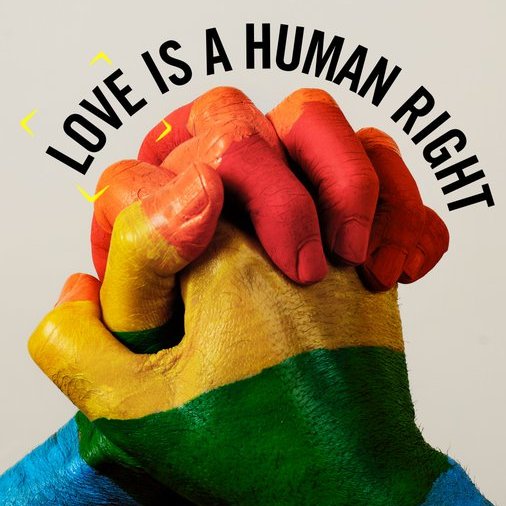 🏳️‍🌈 LGBTQIA Bibliophile 🏳️‍🌈 tweet media