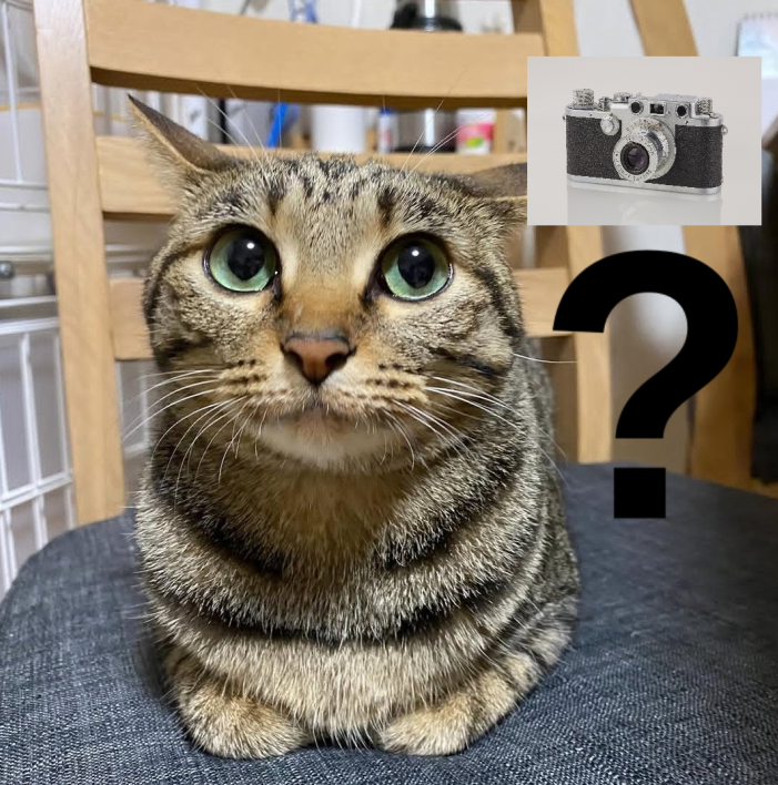 CheeseStkLordIV's tweet photo. @pawshiina Would that camera be against The Geneva Conventions https://t.co/9OQebu2L7m