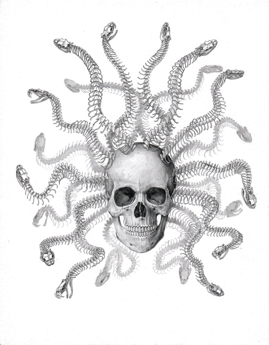 EricBHudspeth's tweet photo. Medusa: Skeletal anatomy illustration from the book, The Cult Of Dr. Black, Resurrectionist: Book II https://t.co/u4RJwRZOC2