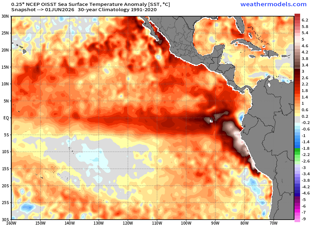 Weatherunited1's tweet photo. El Niño continues to grow & intensify. As of June 1st, SST's anomalies have now reached 5.5 °C above normal right off the coast of Paita, Peru. Now only that SST's across Niño 3.4 are averaging 29.99 °C with an anomaly running 1.37 °C above normal. Now you're probably thinking, "That's not that significant yet", but climatology is at work here. For example, SST is 29°C in early June; the anomalies wouldn't mean as much, but if the SST were 29 °C in December, that would be quite significant. That's why we are starting to see El Niño grow & strengthen rapidly because SST on a normal average are starting to decrease since late May, but actual SST have remained largely around 29.7-29.9 C over the last few months.