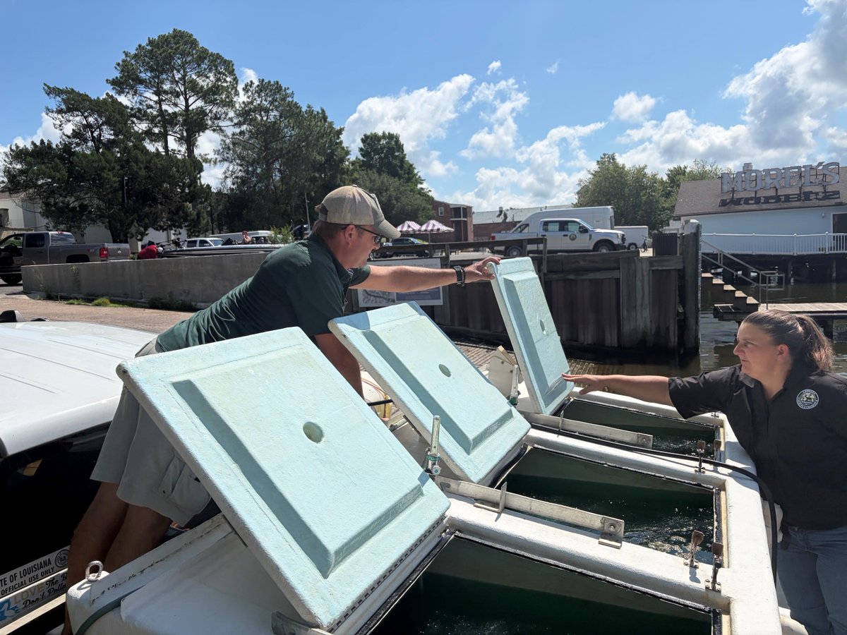 LDWF's tweet photo. 🎣 BIG BOOST FOR FALSE RIVER! 🎣

LDWF stocked 50,600 Florida Bass fingerlings into False River last Friday to help enhance this premier bass fishery. Thanks to Senator Caleb Kleinpeter for his continued support of Louisiana fisheries and anglers! 🐟 https://t.co/3nFl2DnLca