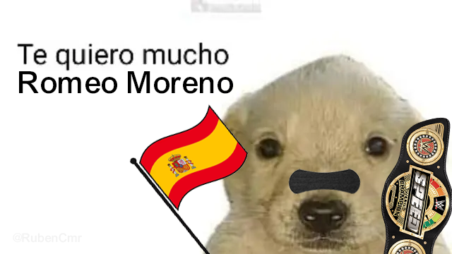 RubenCmr_'s tweet photo. @WWEespana Romeo te quiero más que a gente de mi familia. https://t.co/lY7CaqkVdX