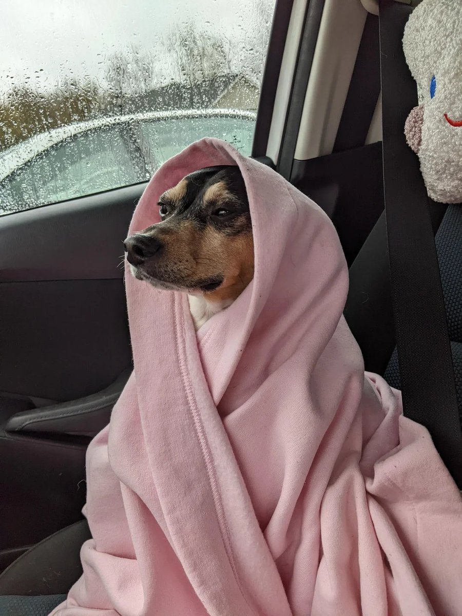 CodesXBT's tweet photo. @btc_charlie haha. unbothered, moisturized and happy in my lane https://t.co/aqLL4UHCsq