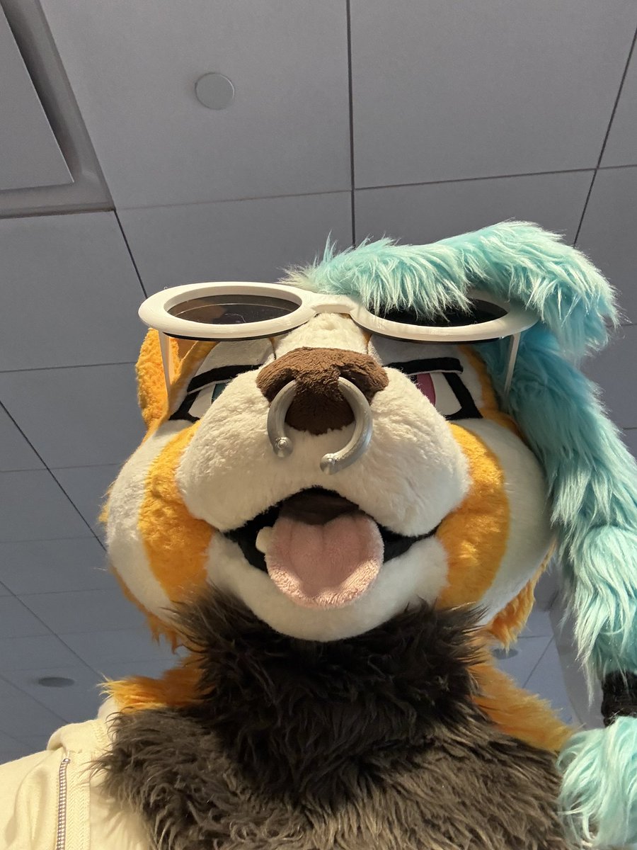 RedPandis tweet picture