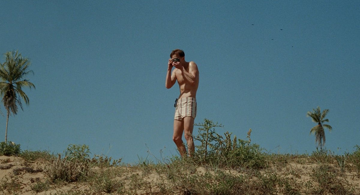 mubi's tweet photo. QUEER (Luca Guadagnino, 2024.) https://t.co/uAUZnghddk