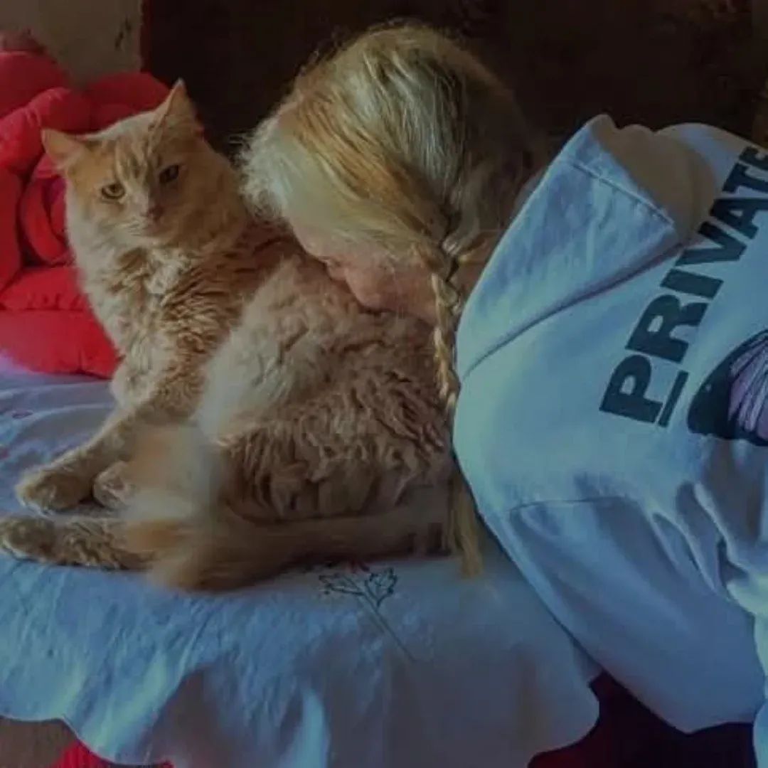 gloriarafaelap1's tweet photo. Amor gatuno... https://t.co/cEkzKrwgbW
