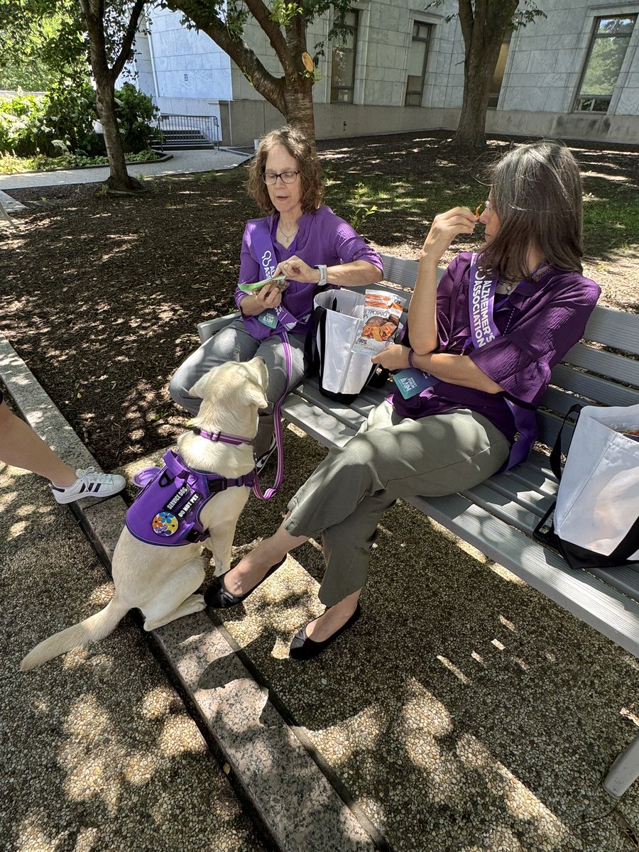 ketm_slp's tweet photo. 🩸 Support the #ASAPAct for earlier screening and diagnosis.
🧠 Support the #AADAPTAct to improve access to diagnosis and treatment.
🔬 Increase NIH funding and fully fund the CDC’s BOLD program.

Together we can change the future for millions of families. #ENDALZ #AlzAdvocacy https://t.co/L2bHLMSqQw