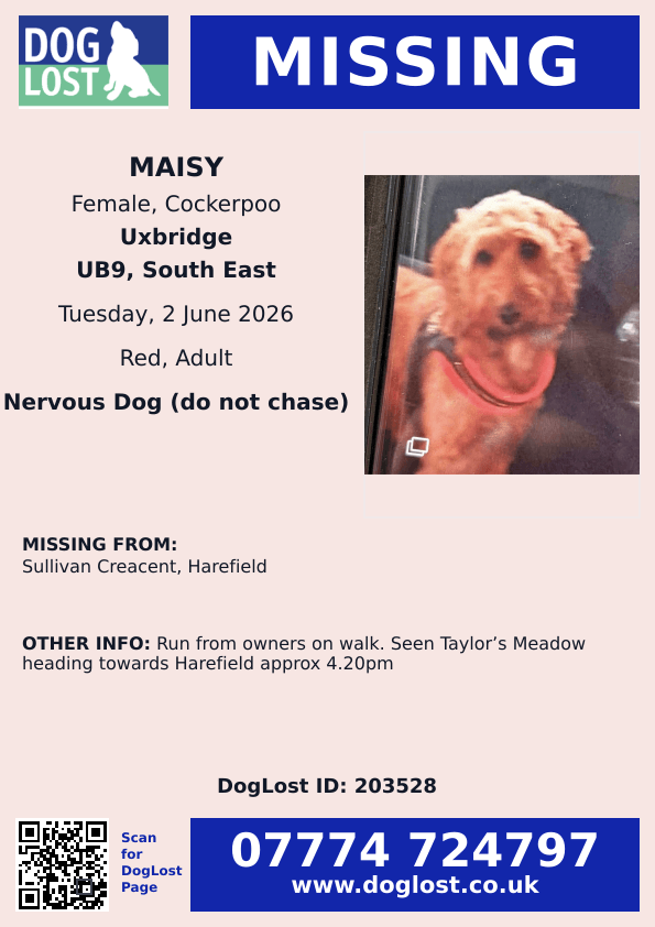 millypod1's tweet photo. 🆘2 JUNE 2026 #Lost MAISY #ScanMe
Cockerpoo Female Nervous Dog (do not chase)
Sullivan Crescent #Harefield #Uxbridge #UB9 
Run from owners on walk. Seen Taylor’s Meadow heading towards Harefield approx 4.20pm
https://t.co/OBVyxEAYoU https://t.co/sn6Nfd1W28