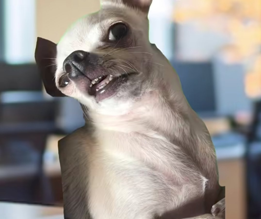 feedinkoo's tweet photo. When your boss asks "Can we talk?" with no context and you try to remember if you did anything illegal https://t.co/EMNhVHg6WU