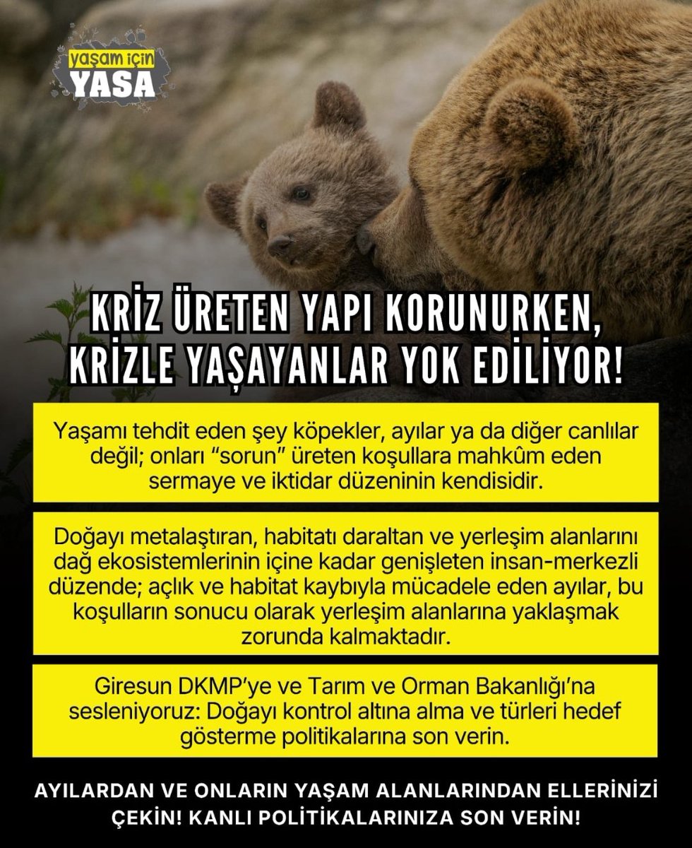 yasamicinyasa2's tweet photo. Kriz üreten yapı korunurken, krizle yaşayanlar yok ediliyor.

Yaşamı tehdit eden şey köpekler, ayılar ya da diğer canlılar değil; onları “sorun” üreten koşullara mahkûm eden sermaye ve iktidar düzeninin kendisidir.

Doğayı metalaştıran,habitatı daraltan ve yerleşim alanlarını dağ https://t.co/SaDH5Qkmee