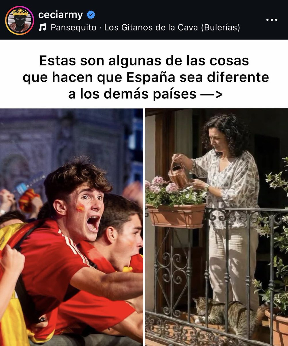 VS4_MOSSADEADO's tweet photo. aplicable a literalmente cualquier país https://t.co/nQsFZjmvb8