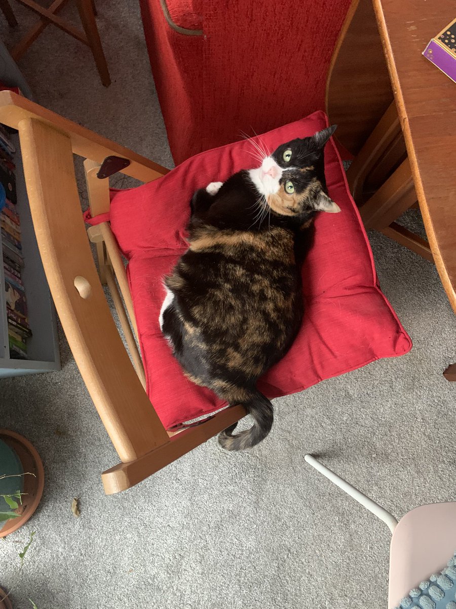 minkythecat's tweet photo. blob https://t.co/82wFb8MN8x