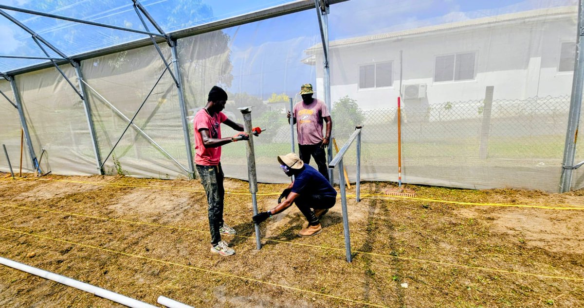 FAOCaribbean's tweet photo. FAO is supporting the Ministry of Agriculture with the installation of Nutrient Film Technique (NFT) hydroponic systems at the Orange Hill Research Station in 🇻🇨. The initiative promotes climate-smart agriculture &amp; will serve as a demonstration site for innovative techniques 💡. https://t.co/aelaFwp2DT