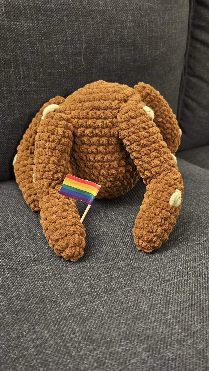 Projectlida_'s tweet photo. I made a crochet Rocky, he says happy pride! https://t.co/EBfpQoeJEc