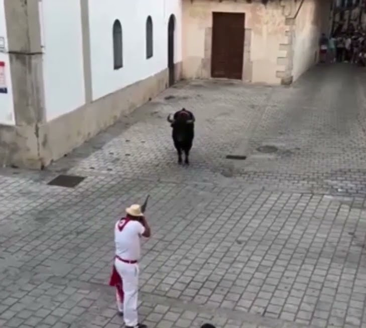 ruben_prz's tweet photo. ¿Evolución? En Coria (#Cáceres) matan a tiros a los toros que maltratan durante los encierros.

Exhibicionismo de la brutalidad, porque su modo de diversión es así: VIOLENCIA. https://t.co/D6AuFQTFsM