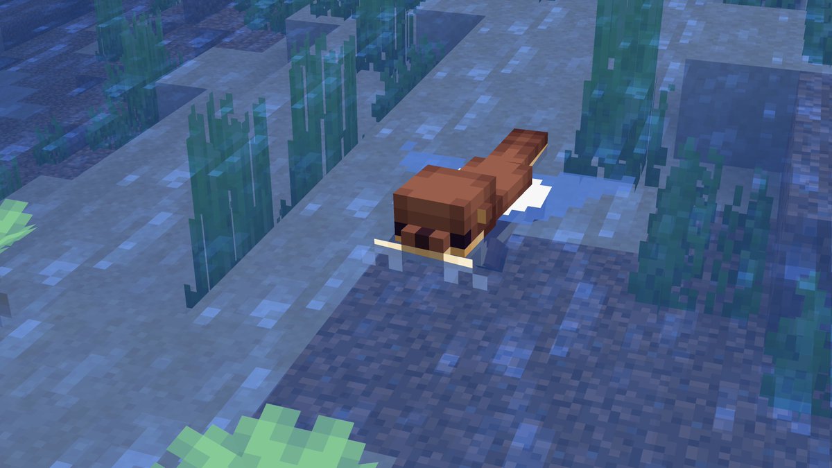 OfficialTacoSMP's tweet photo. how cute! https://t.co/m7DCdoADTN
