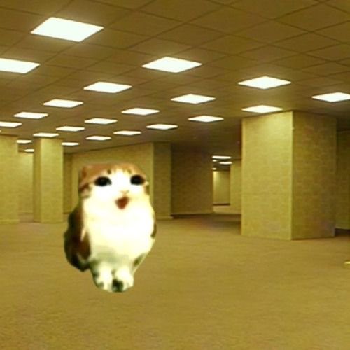 𝕶𝖆𝖙🕷️ tweet media