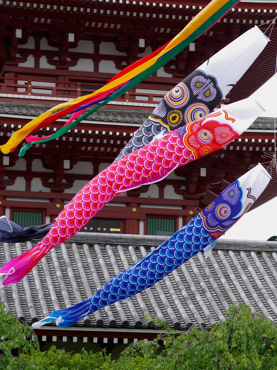 SamueleBulloni's tweet photo. #Japan #Tokyo https://t.co/VQejFC57iv