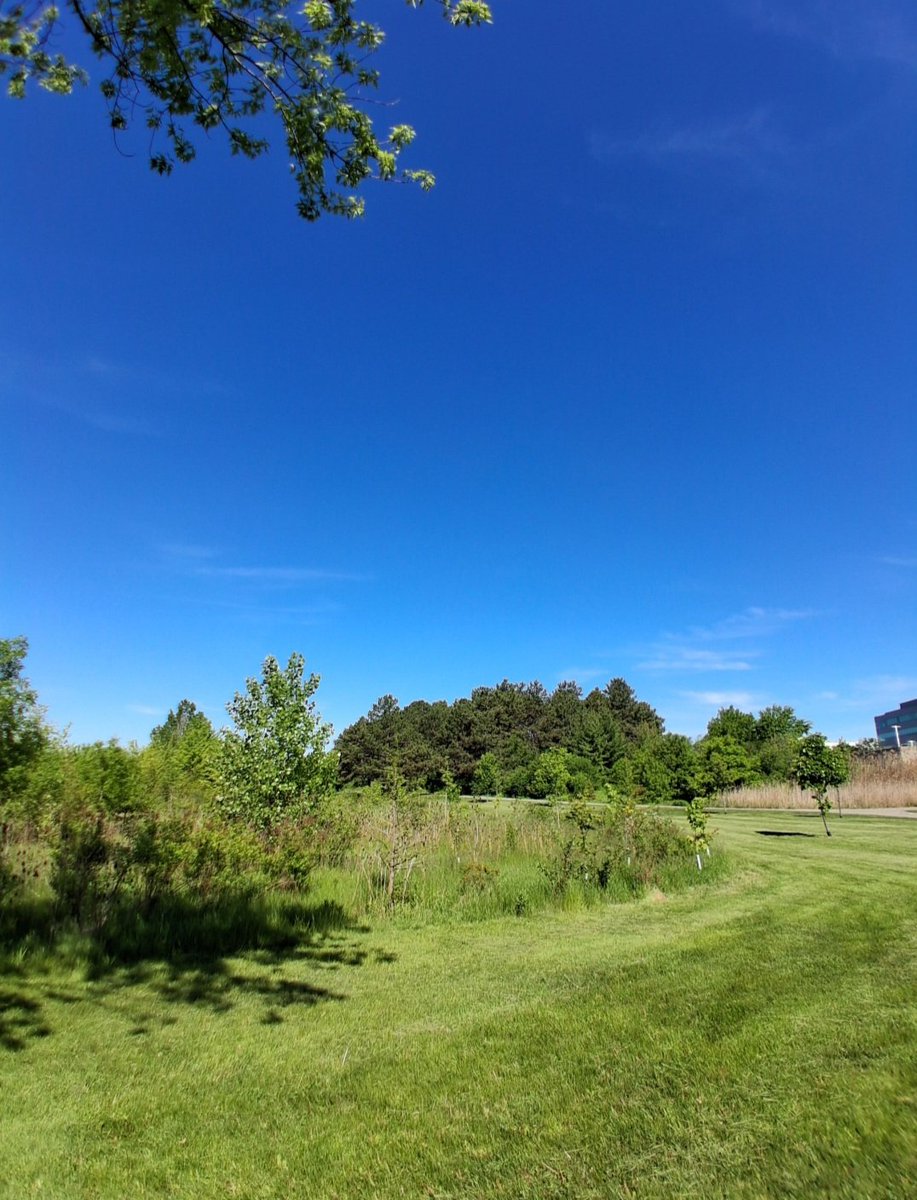 SteveElshaw's tweet photo. Today's walk https://t.co/a1lR0h3JFd
