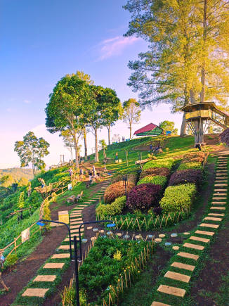 WorldnPictures's tweet photo. West Sumatra, Indonesia 🇮🇩 https://t.co/fJyvSBYHMY